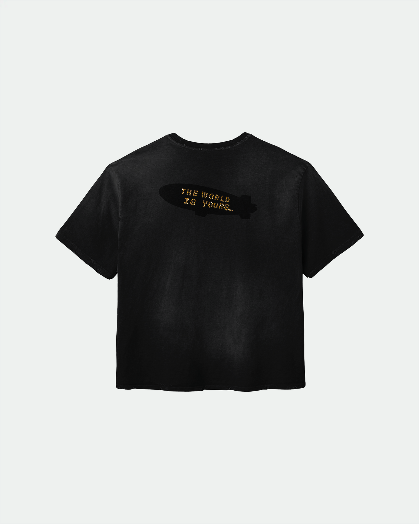 THE WORLD IS YOURS T SHIRT
