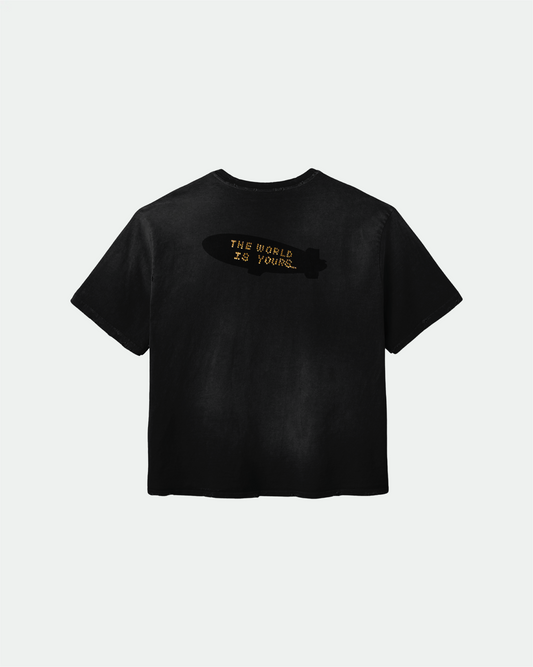 THE WORLD IS YOURS T SHIRT