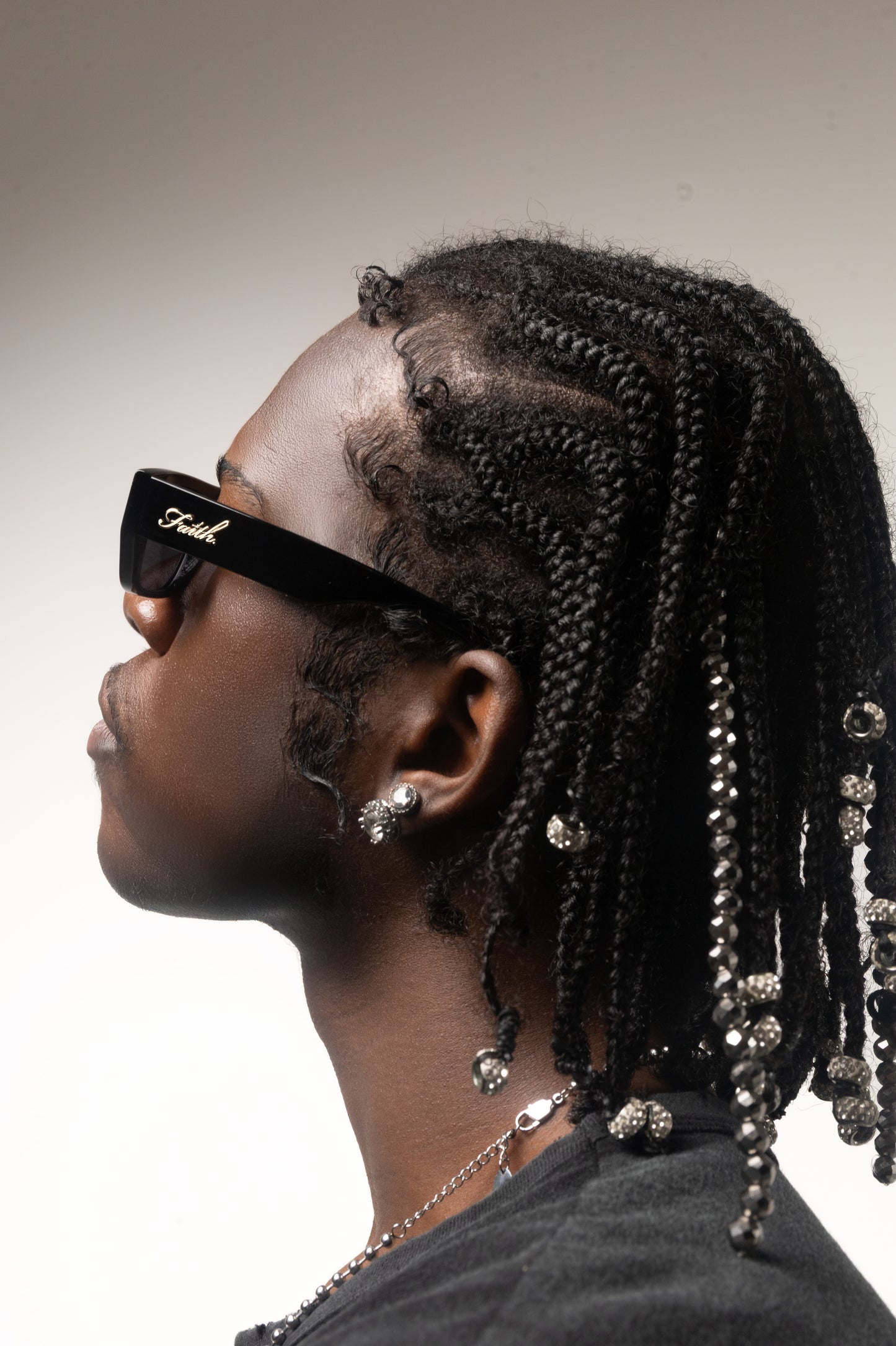 Visionnaire Sunglasses Black Chrome