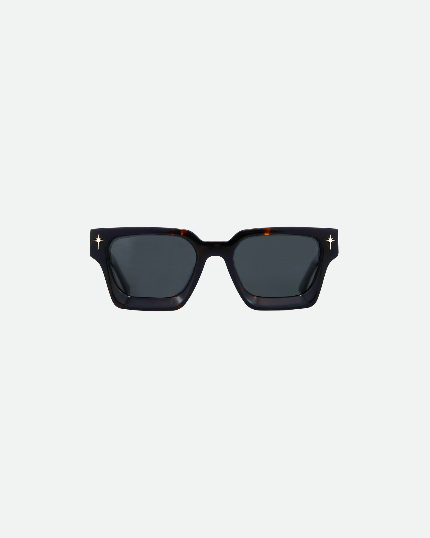 Navigator Sunglasses Tortoise