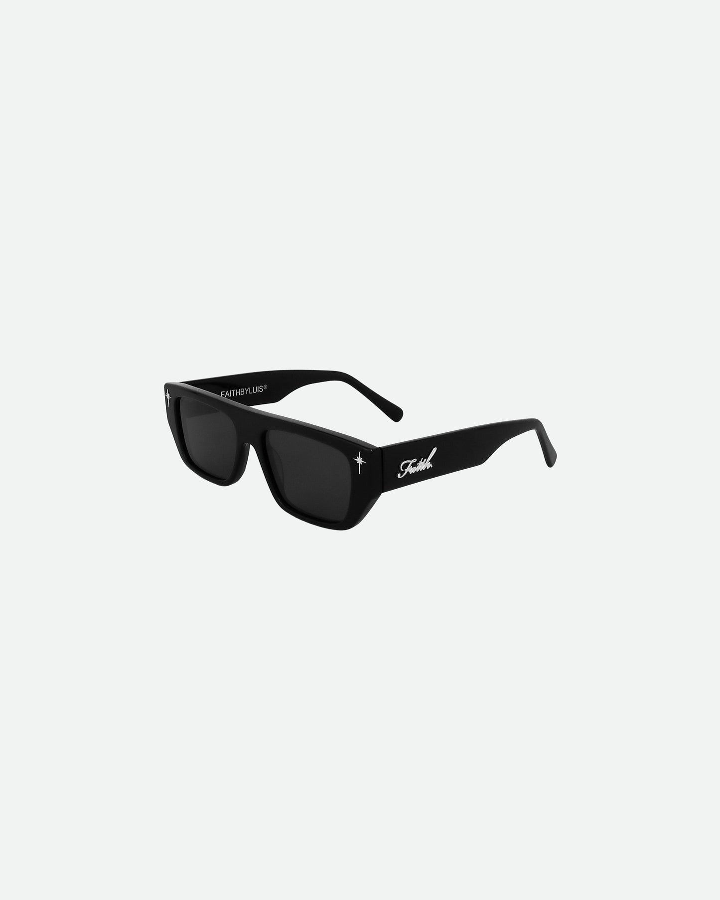 Visionnaire Sunglasses Black Chrome